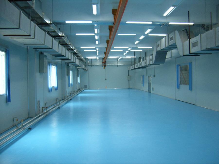 東莞鳳崗塑膠電子有限公司十萬級無塵車間完工